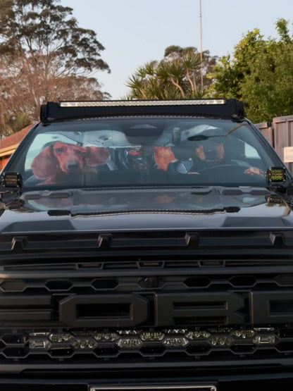 Ford Next-Gen Raptor - Blaze RP24 Smoked White Grille Lights